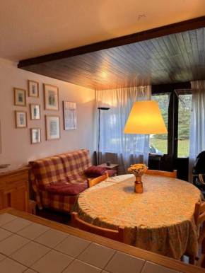 Grazioso appartamento vicino alle piste Montgenevre